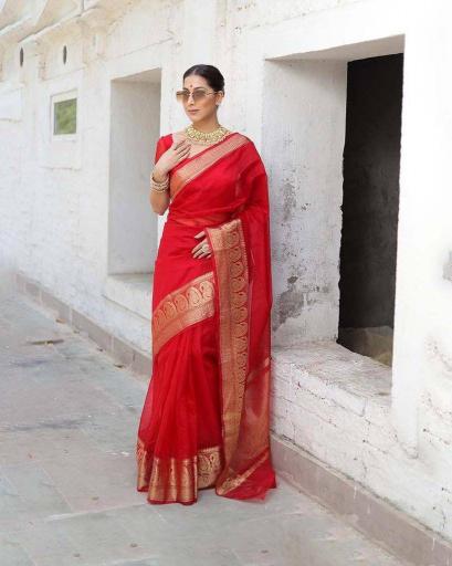 Ethosari SF 591 catalog supplier manufacturer of sarees in surat