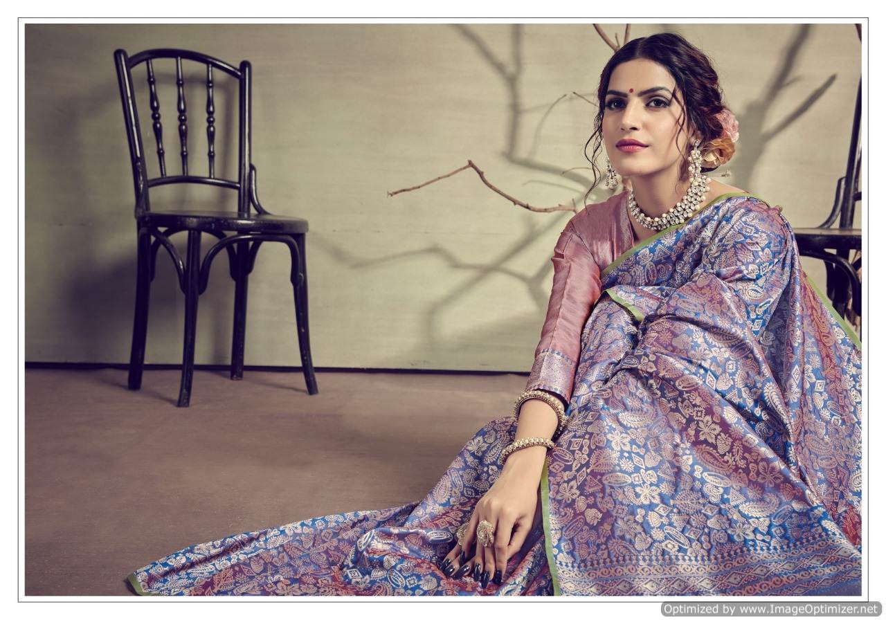 Ynf Present Anjuman Festival Wear Silk Sarees Collection
