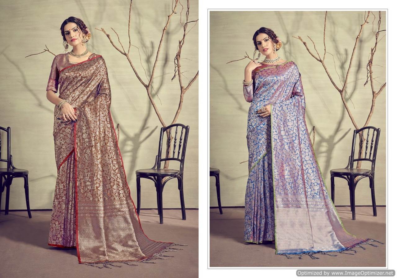 Ynf Present Anjuman Festival Wear Silk Sarees Collection