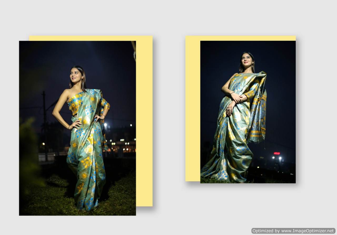 Ynf Present Tijori Silk Vol 2 Saree Collection