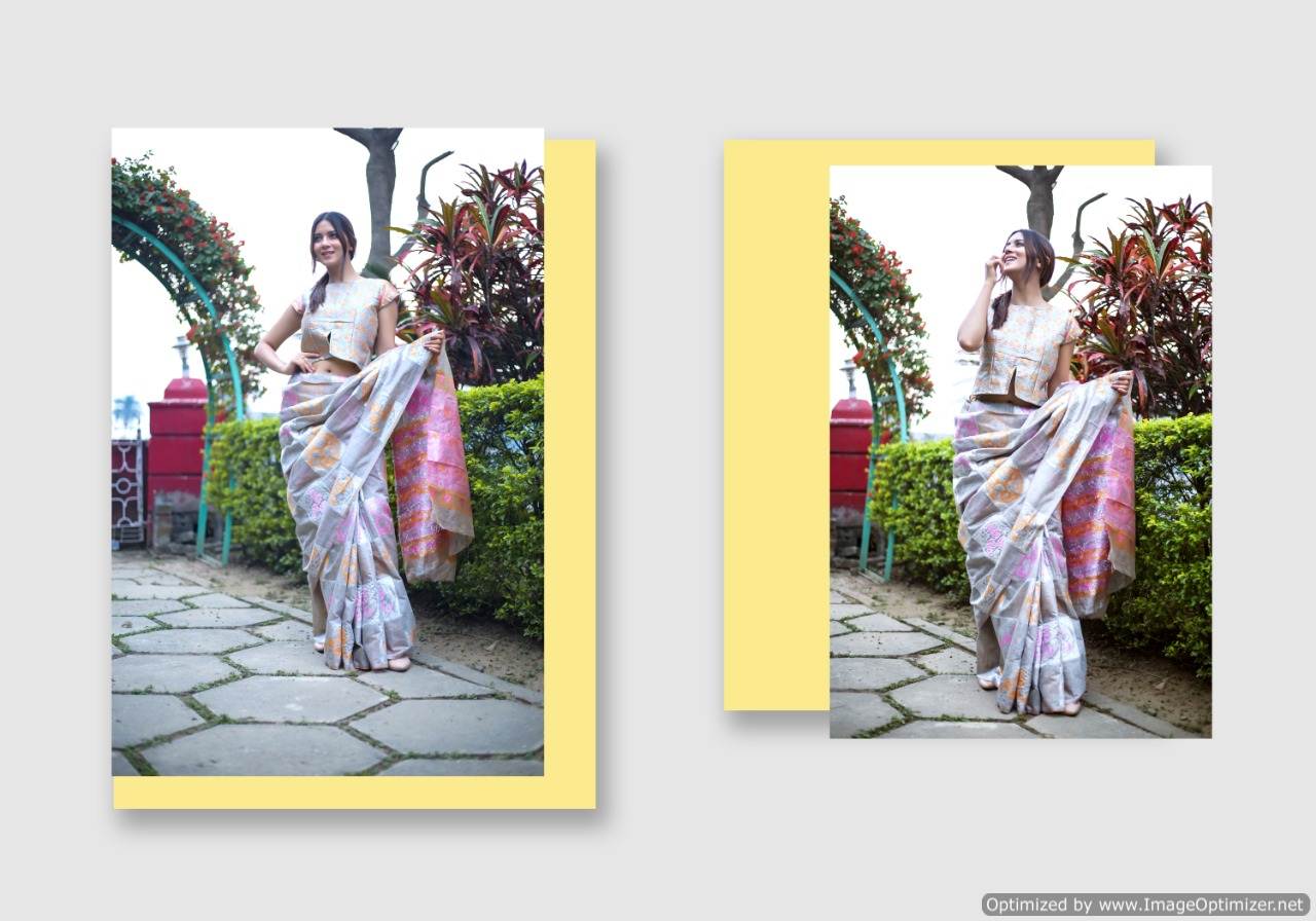 Ynf Present Tijori Silk Vol 2 Saree Collection