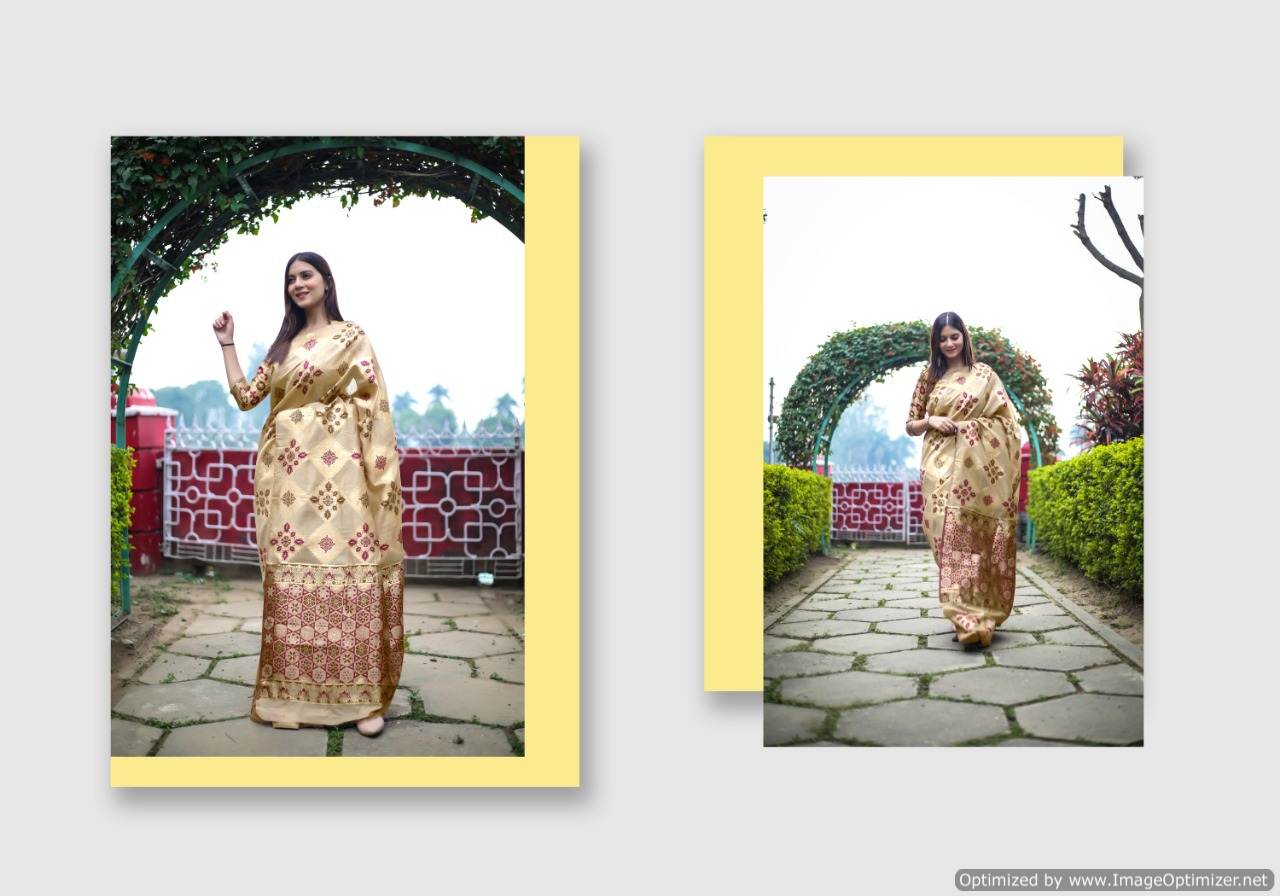 Ynf Present Tijori Silk Vol 2 Saree Collection