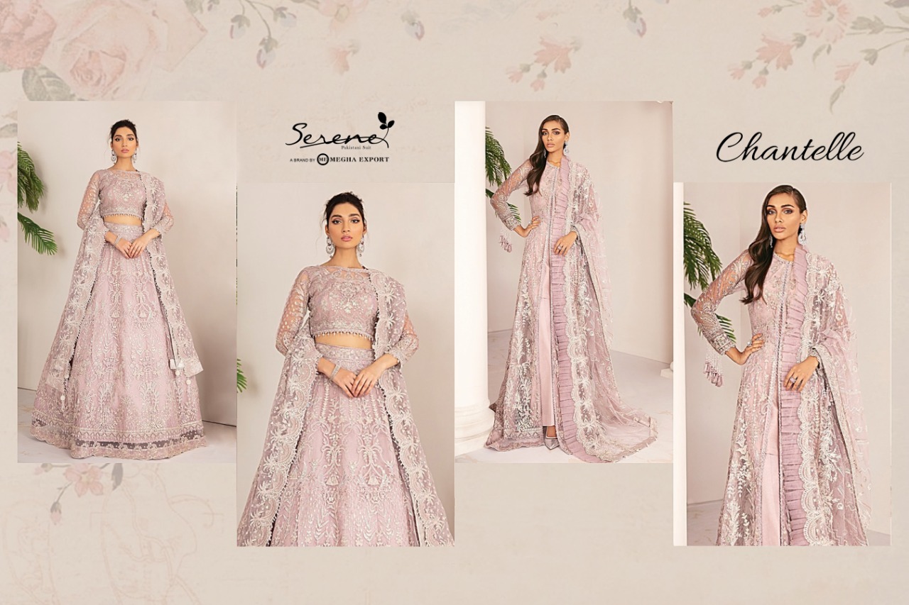Serene Chantelle Butterfly Net Designer Wholesale Pakistani Suits In Surat