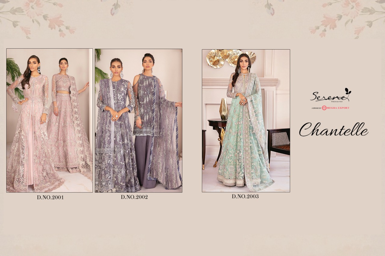 Serene Chantelle Butterfly Net Designer Wholesale Pakistani Suits In Surat