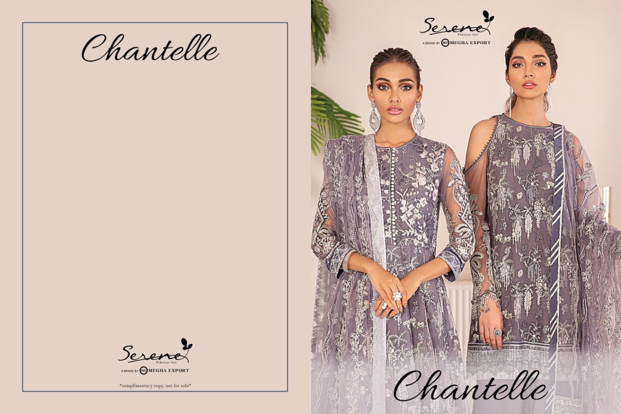 Serene Chantelle Butterfly Net Designer Wholesale Pakistani Suits In Surat