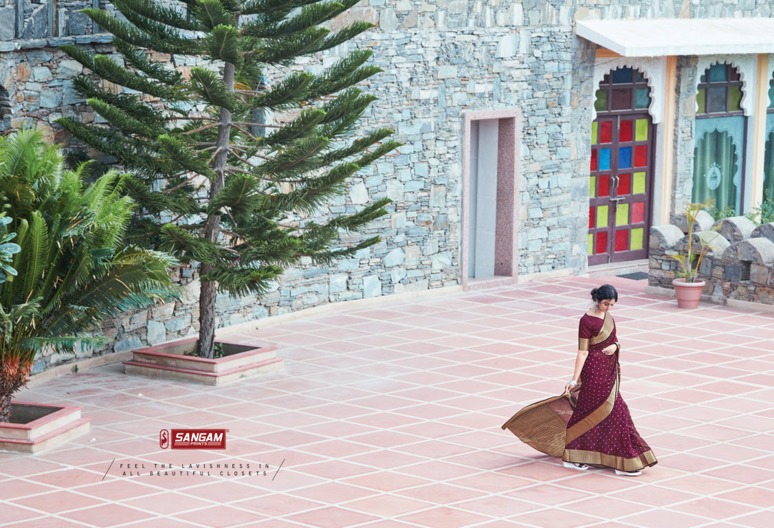 Sangam Anupama Organza Rich Pallu Sarees