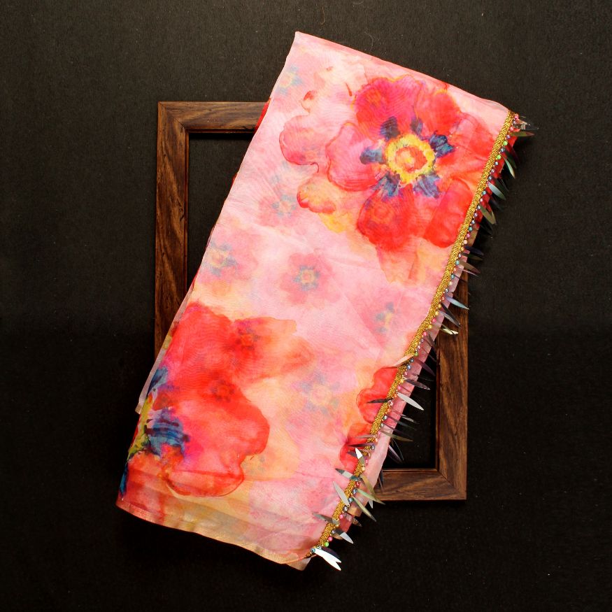 Ynf Aamrapali Fancy Wear Organza Saree  Catalog