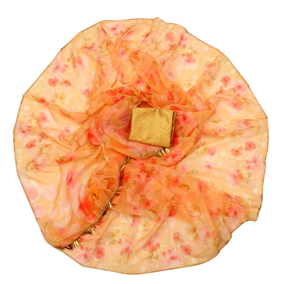 Ynf Aamrapali Fancy Wear Organza Saree  Catalog