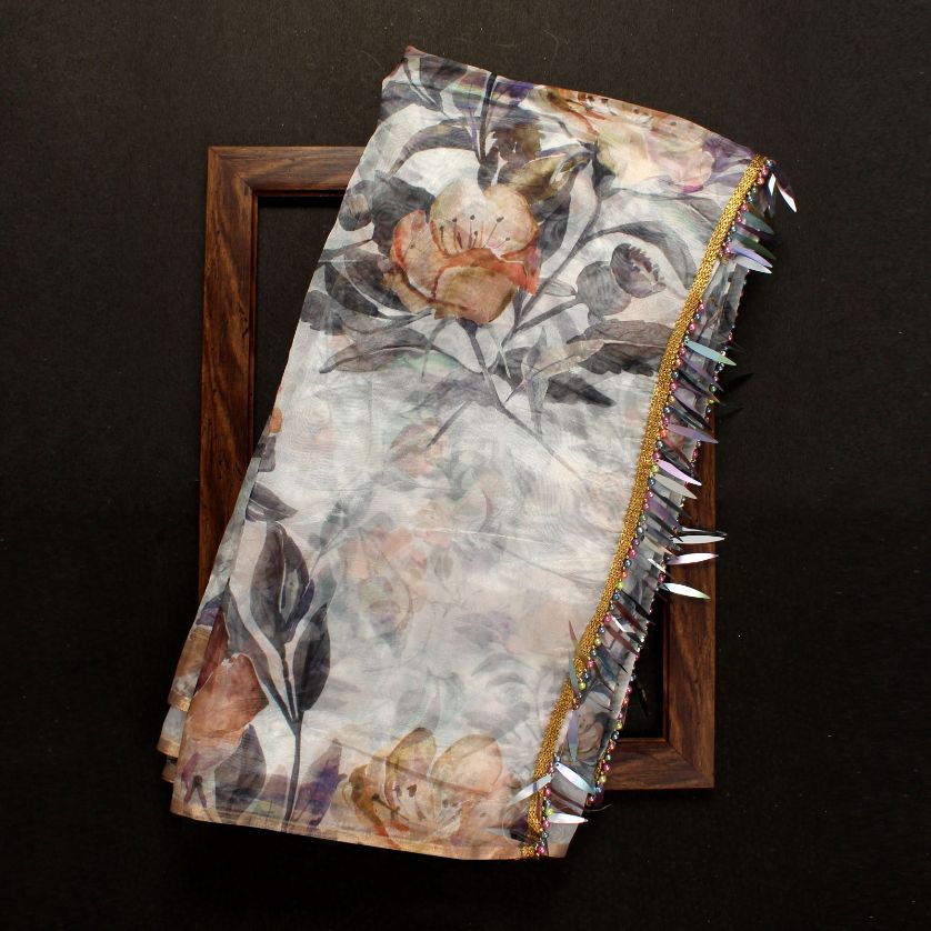 Ynf Aamrapali Fancy Wear Organza Saree  Catalog