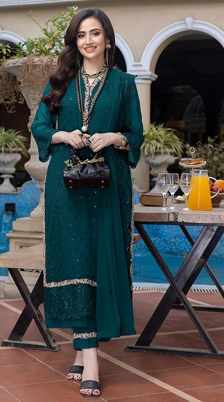Ct 1035 Georgette Embroidered Salwar Kameez Wholesale catalog