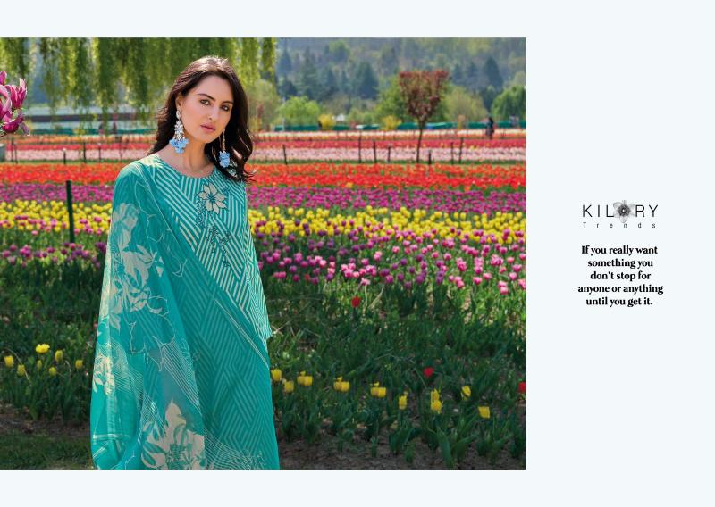 KILORY TRENDZ ELNAZ-2 Salwar Kameez Wholesale catalog
