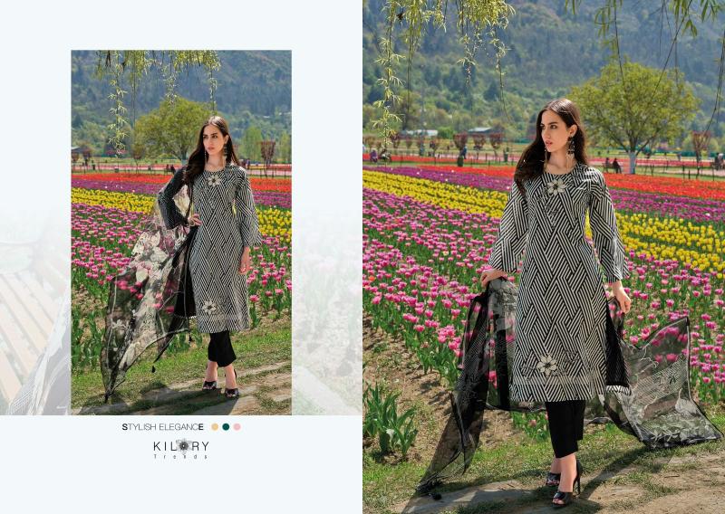 KILORY TRENDZ ELNAZ-2 Salwar Kameez Wholesale catalog