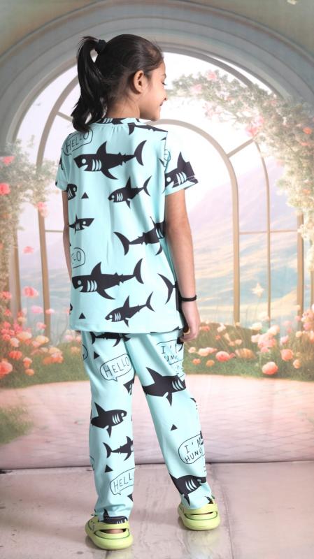 Sabella Ak Girl Co Ord Set Vol 2 Poly Spendex Girls Wear Wholesale Catalog 