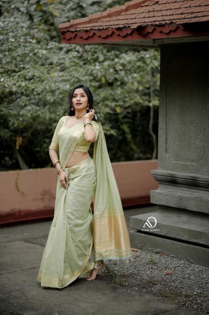 Dazira Mohini vol 19 catalog best saree wholesalers surat
