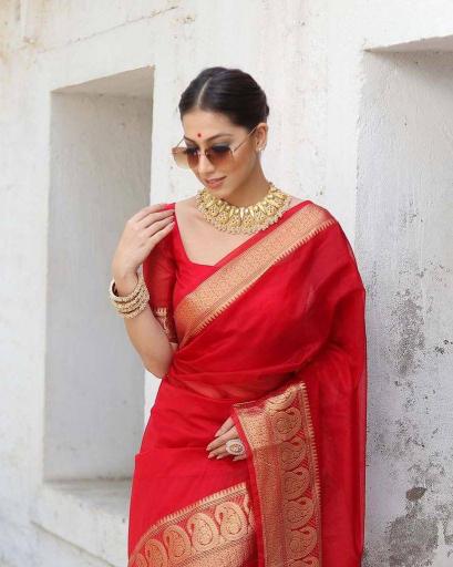 Ethosari SF 591 catalog supplier manufacturer of sarees in surat