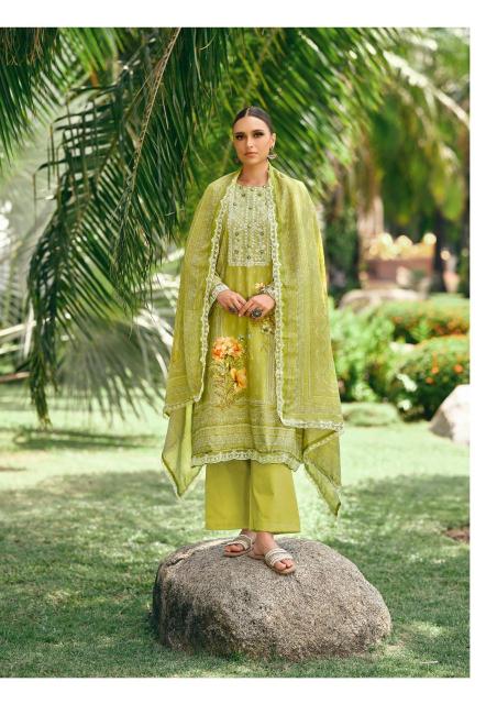 The Hermitage Shop Amahle catalog salwar kameez wholesale